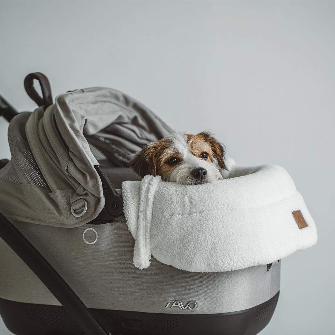 TAVO リバーシブルライナー あごのせクッション - ドッググッズ・猫