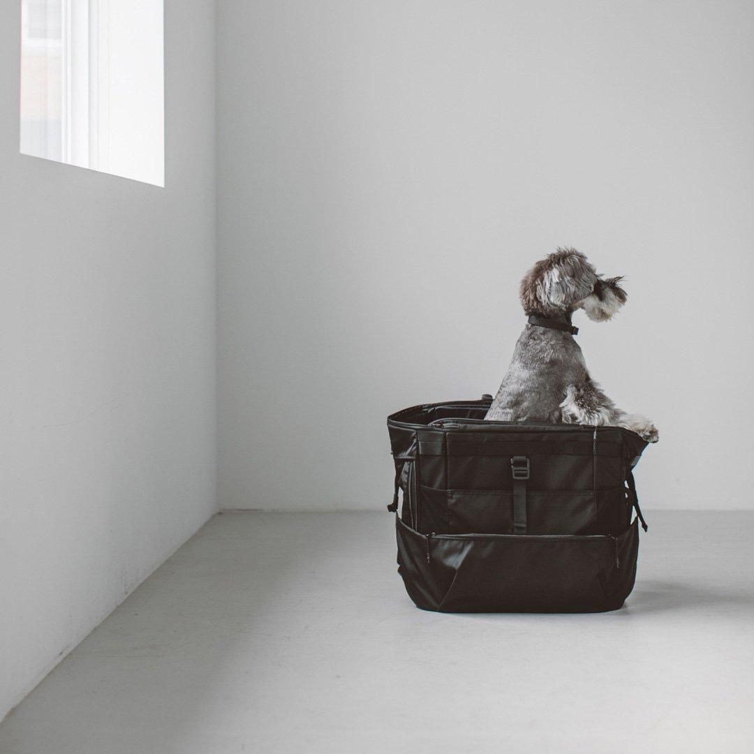 コンフォータブル リュックサック - ドッググッズ・猫グッズ通販 free