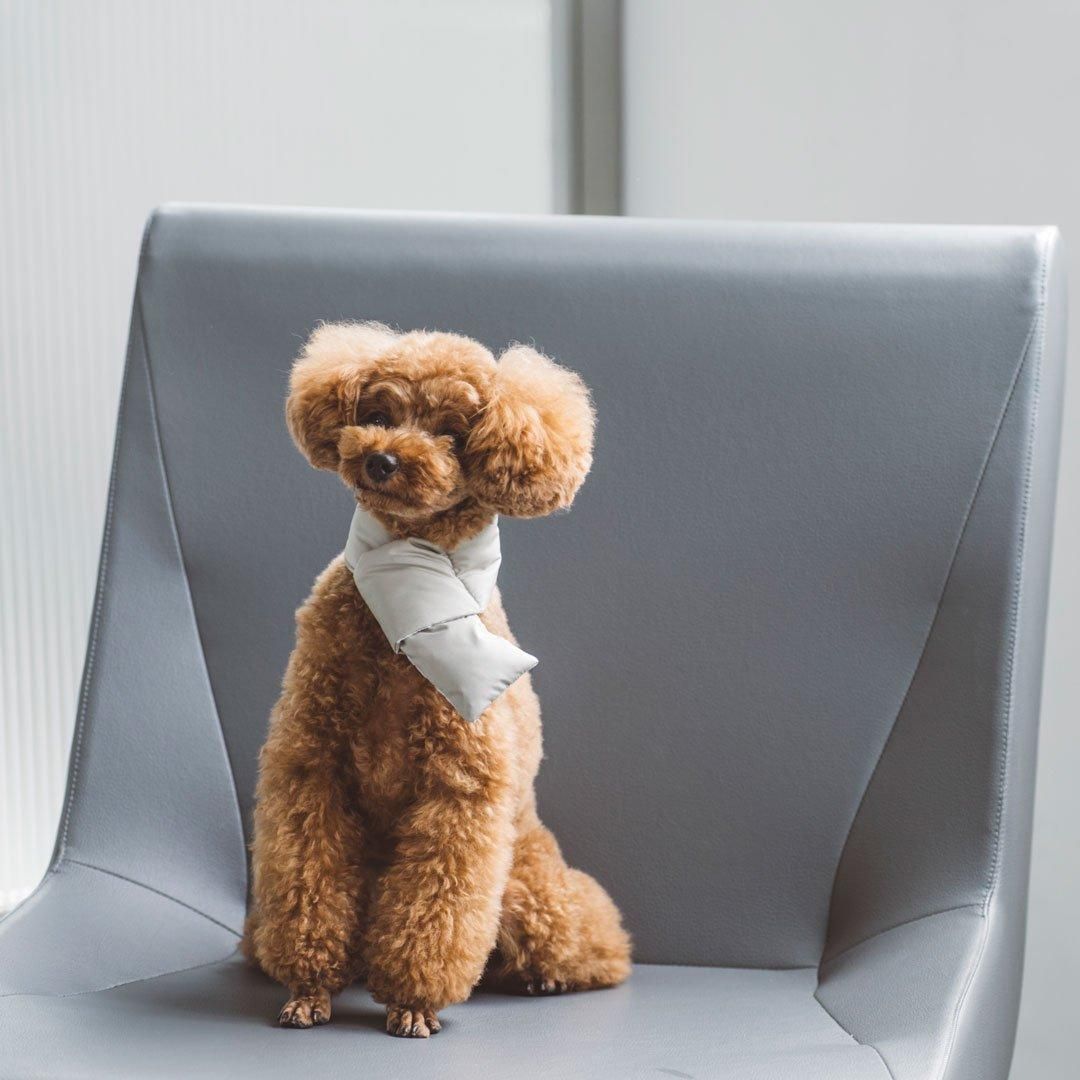 ダックダウン ジャケット＆マフラーセット - ドッググッズ・猫グッズ