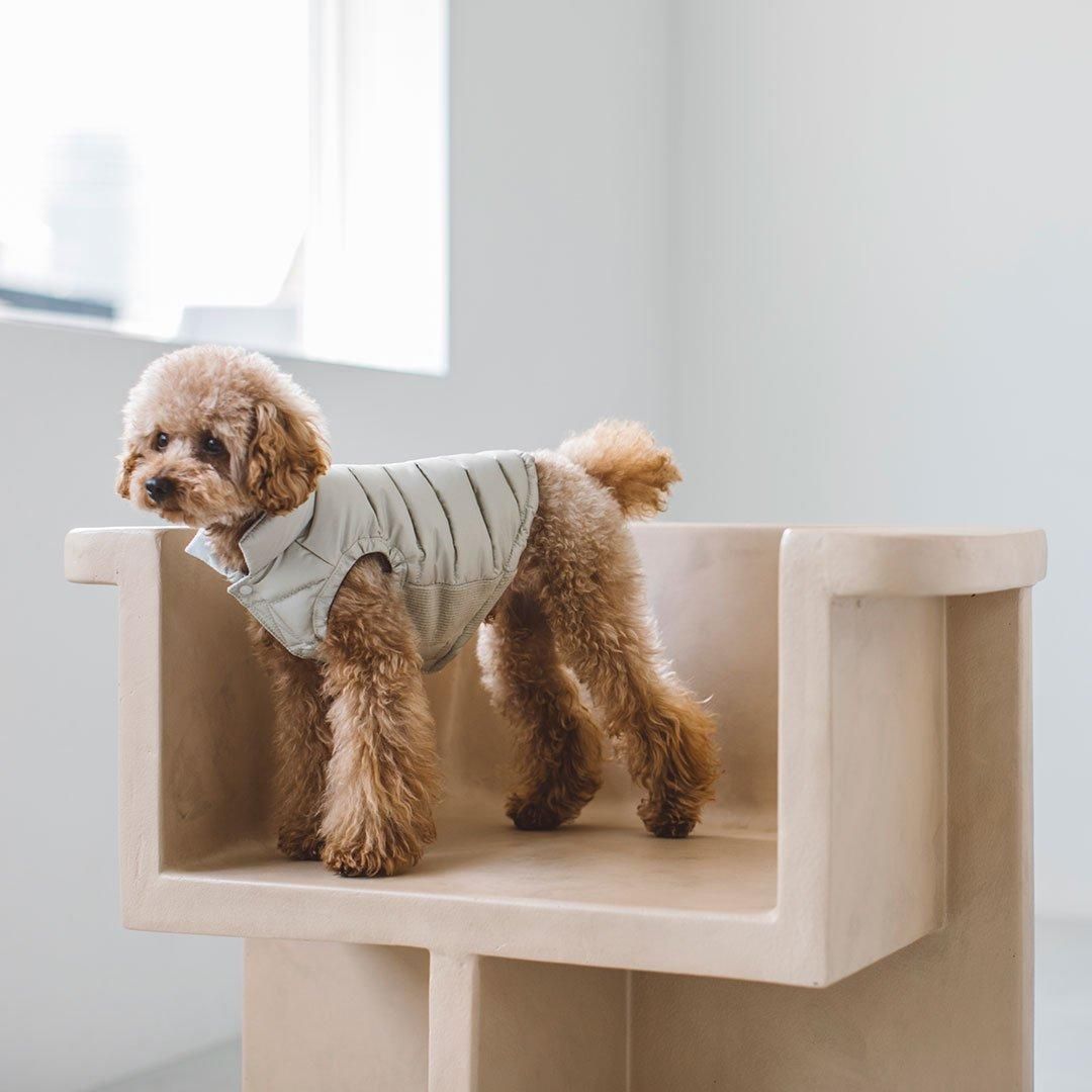 ダックダウン ジャケット＆マフラーセット - ドッググッズ・猫グッズ