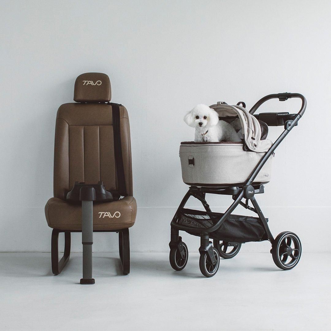 TAVO Maeve メイブ＋Roscoe ロスコー＋ベース 5R(SF)・5X - ドッグ