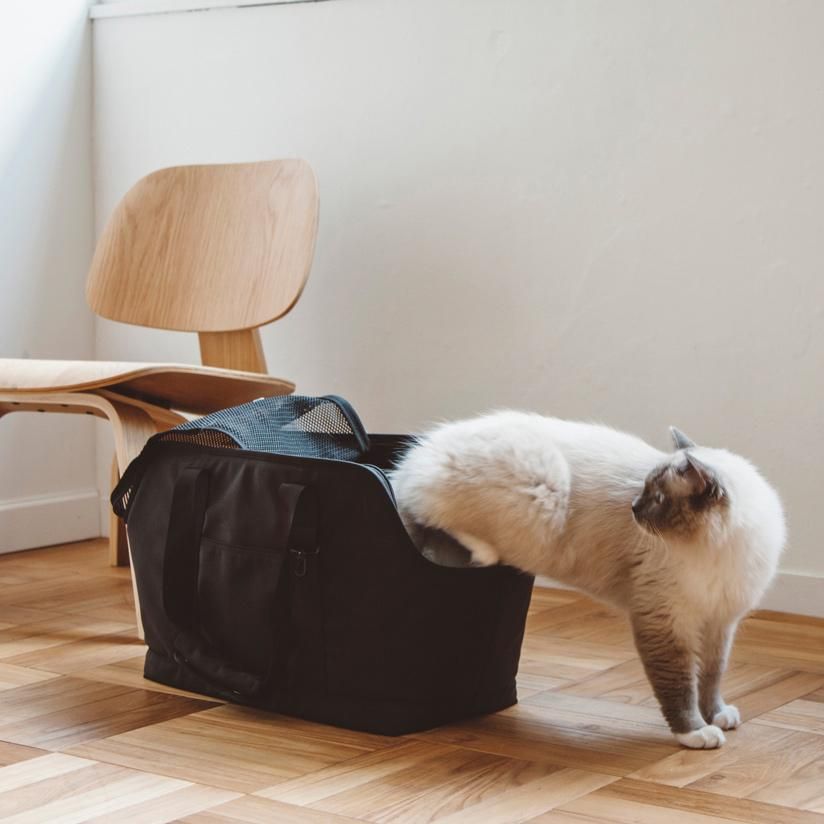 バルコディ スクエアトート - ドッググッズ・猫グッズ通販 free stitch