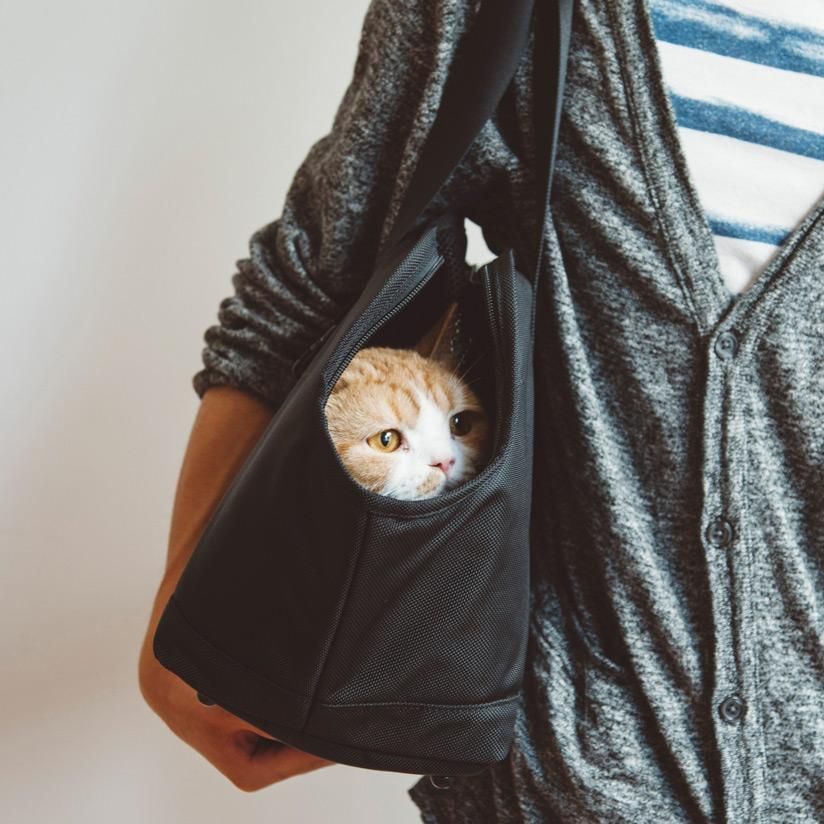 バルコディ スクエアトート - ドッググッズ・猫グッズ通販 free stitch