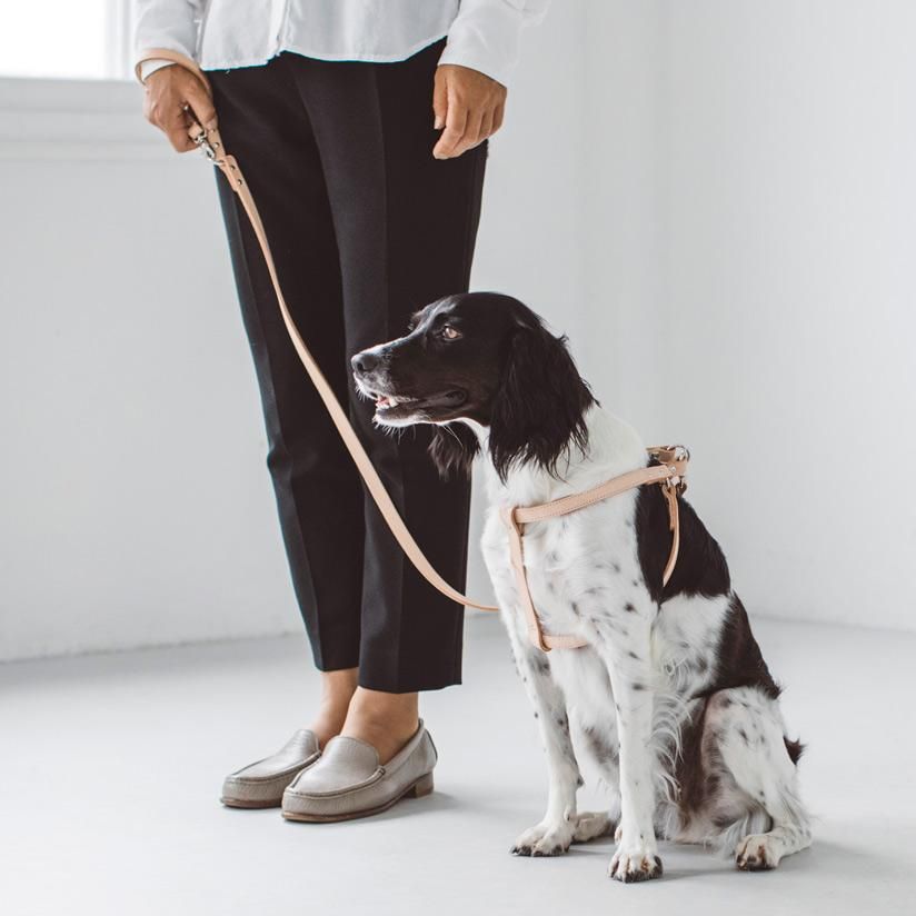 ヌメリングワンタッチハーネス - ドッググッズ・猫グッズ通販 free