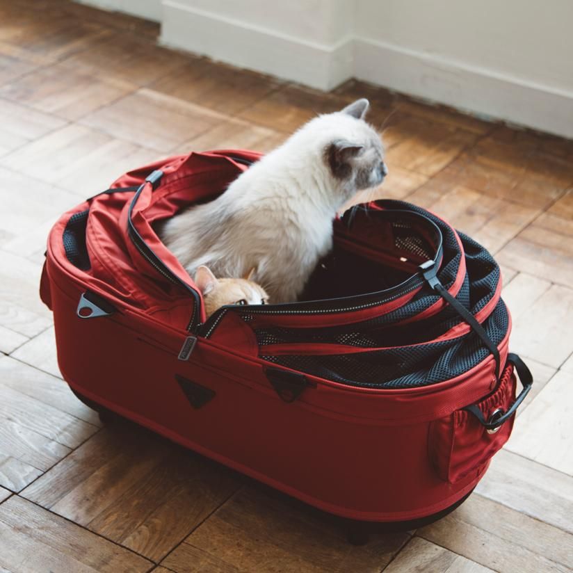 エアバギーフォードッグ ドーム2 M 単品 - ドッググッズ・猫グッズ通販