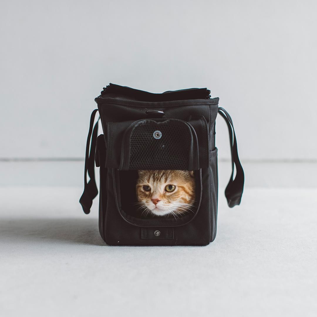 バルコディキャリー - ドッググッズ・猫グッズ通販 free stitch