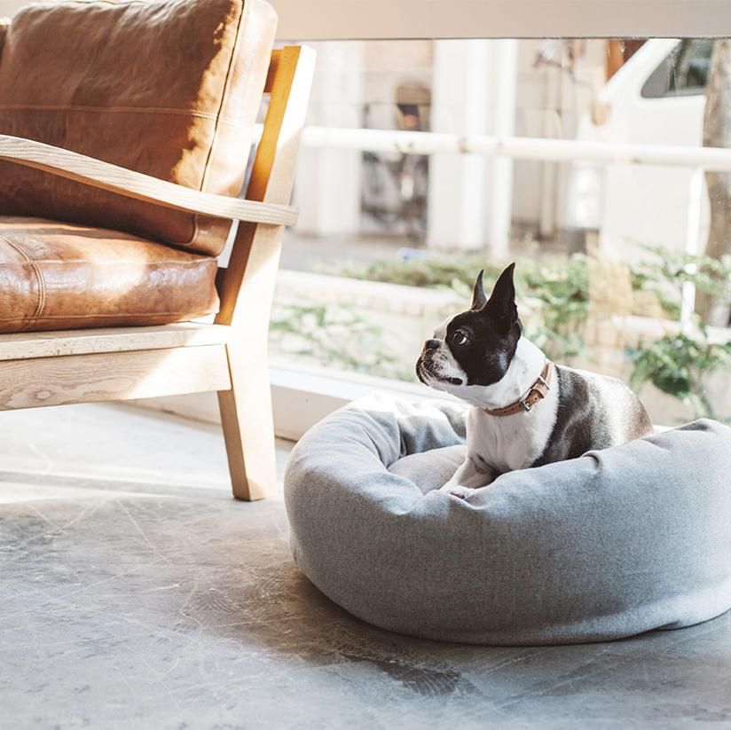 コットンジャージ ラウンドベッド - ドッググッズ・猫グッズ通販 free