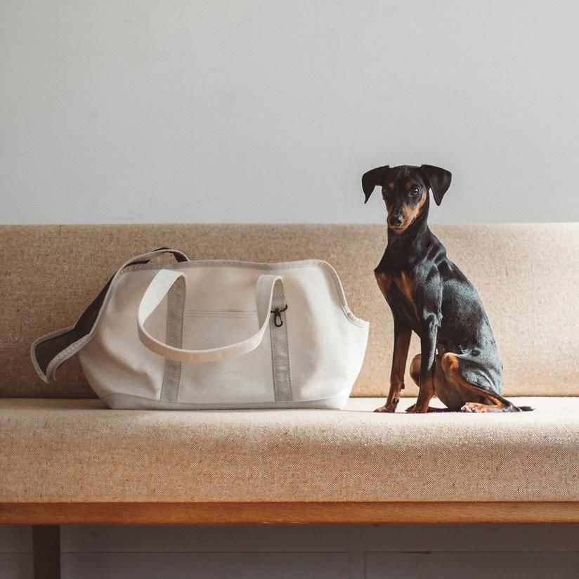 犬のキャリー バッグはドッググッズブランド 通販/販売のfreestitch