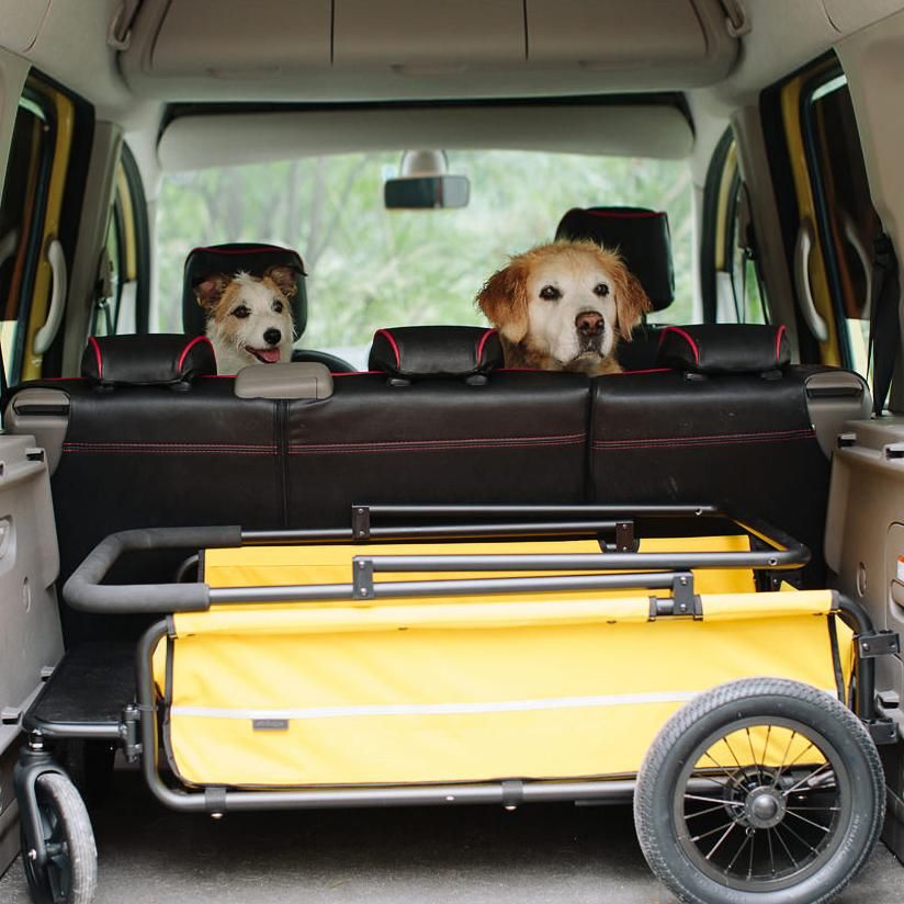 エアバギーフォードッグCARRIAGE(キャリッジ)はドッググッズブランド