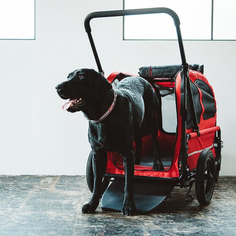 エアバギーフォードッグCARRIAGE(キャリッジ)はドッググッズブランド