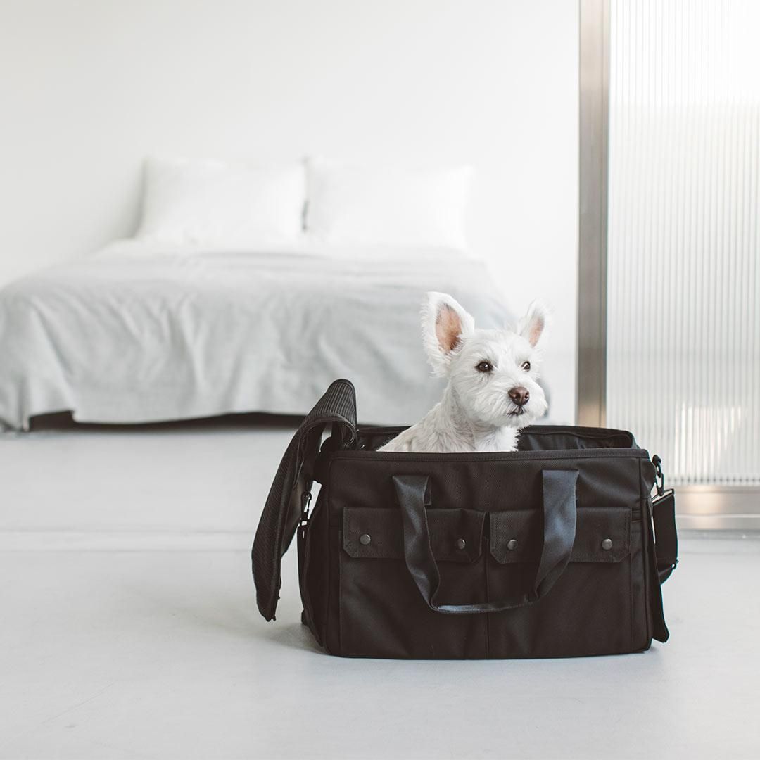 バルコディキャリー - ドッググッズ・猫グッズ通販 free stitch