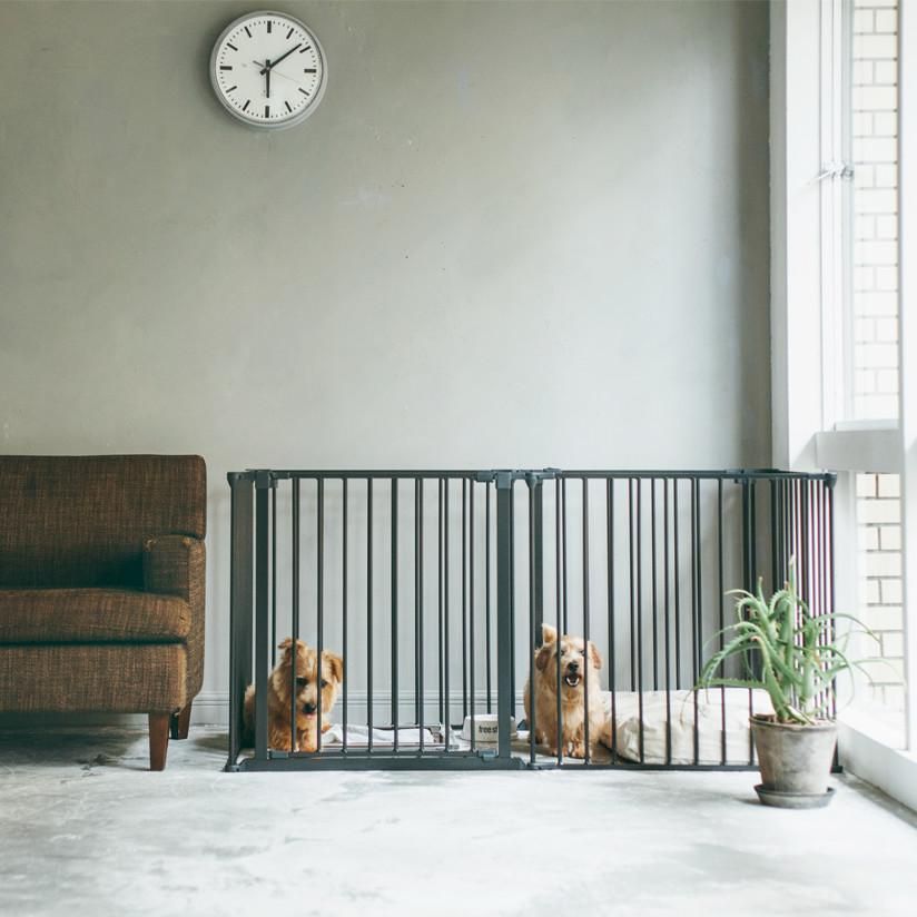 北欧スタイルのサークルはドッググッズブランド 通販/販売のフリーステッチ