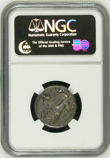 古代ギリシャ シラクサ BC317-289 テトラドラクマ 銀貨 NGC AU 5/5, 5