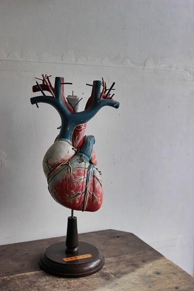 127614501.jpg?cmsp_timestamp=