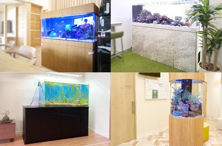 木製水槽台のオーダーメイド製作｜東京アクアガーデン