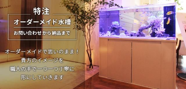 オーダーメイド水槽は東京アクアガーデンオンラインショップ