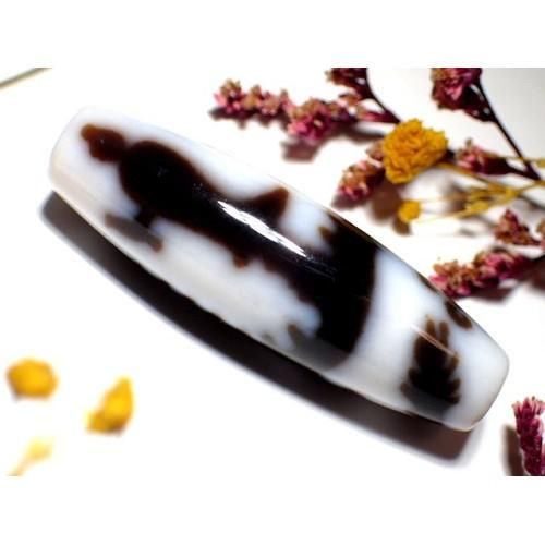 白龍白天珠たん！すっごい石！綺麗だね！ img-buresu-ryu-33.jpg