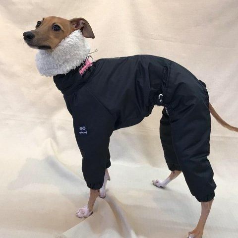 イタグレ服 ushh スノースーツ シルバー Mサイズ - 犬用品低 価格