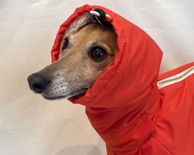 grindog H2 スノースーツ