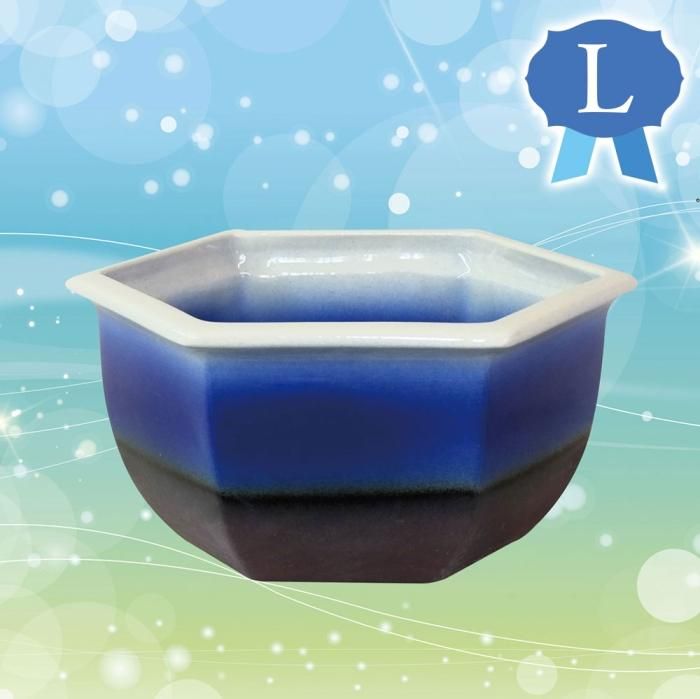 商品一覧【睡蓮鉢】清風園 グリーンパレス 公式通販サイト