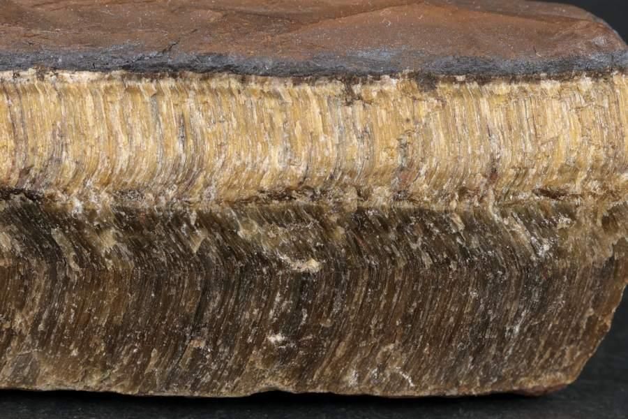 タイガーアイ (虎目石)原石 160g｜天然石 原石 通販のキラリ石