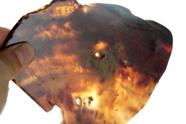 珪化木(木化石) 原石 磨き 211g｜天然石通販キラリ石