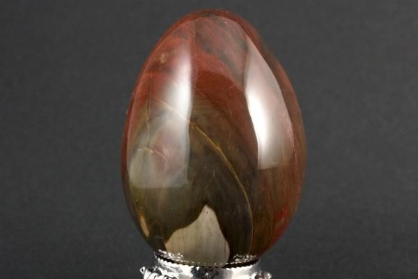 珪化木(木化石) 卵型 273g｜天然石 原石 通販 キラリ石