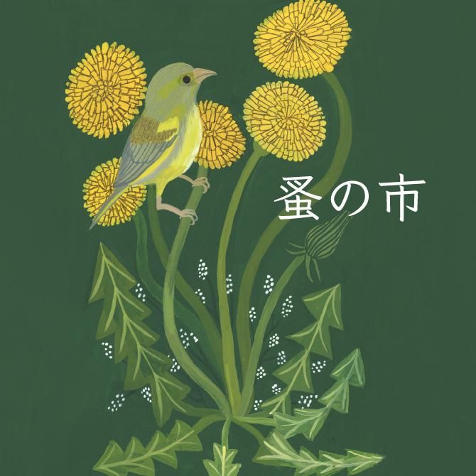 ナオミ・ライトのうさぎ - Lintukoto(リントゥコト)