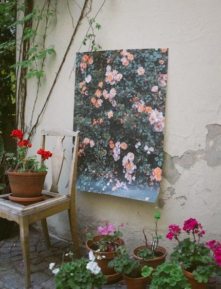 FINE LITTLE DAY | RED ROSES POSTER | アートプリント/ポスター