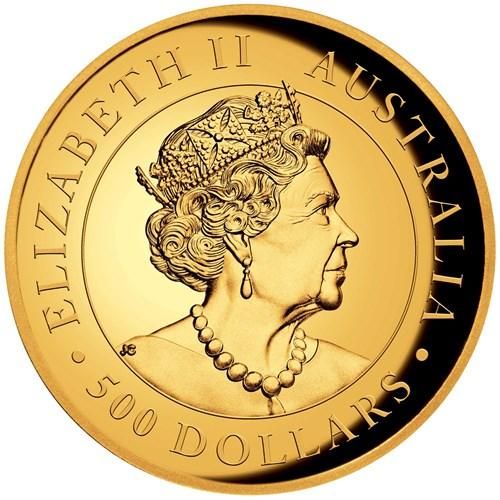 お買い得 アウリガヌスキンイロコガネ 27mm お買い得 アウリガヌス