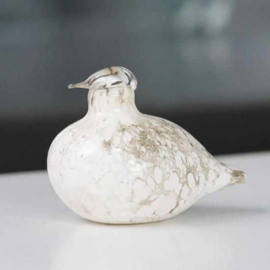 OIVA TOIKKA Brid kiiruna ptarmigan 雷鳥 01