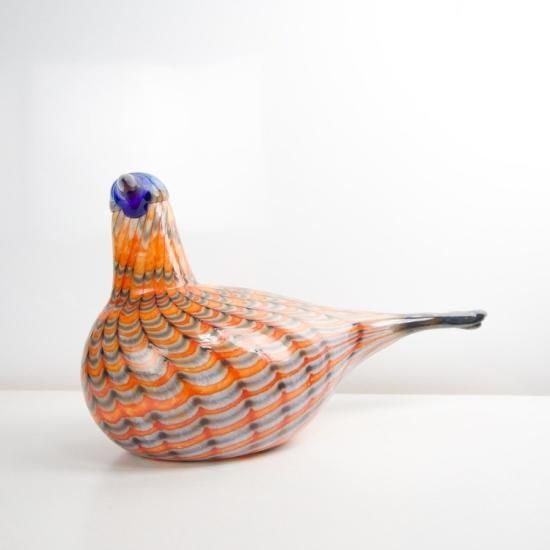 OIVA TOIKKA Bird Rainbow tern