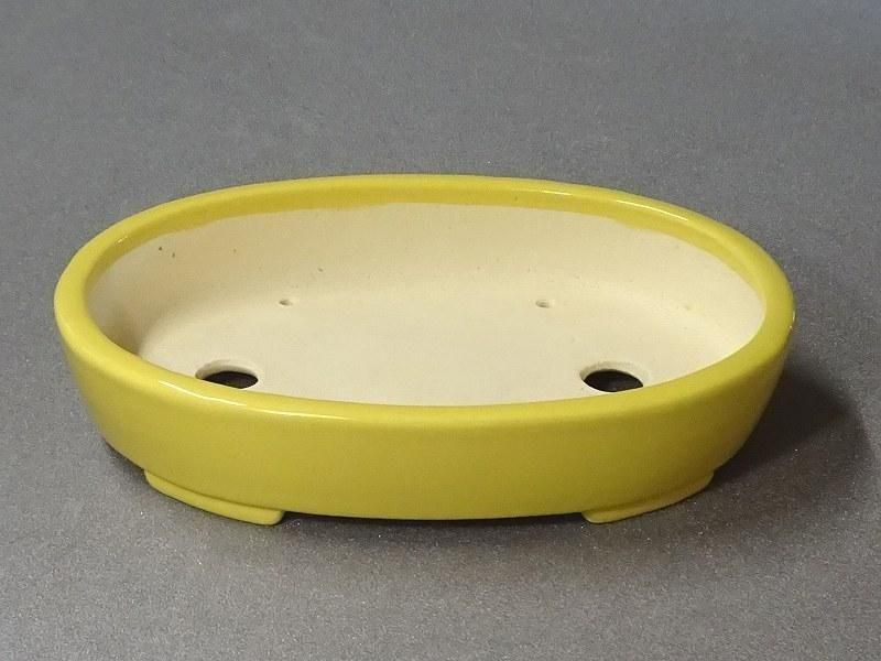 鴻陽 やや大きめ 盆栽鉢 鴻陽 やや大きめ 盆栽鉢 鴻陽 やや大きめ 盆栽鉢