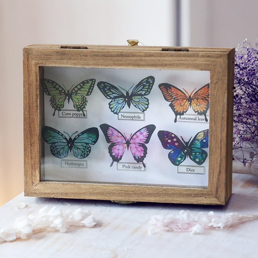 2025年最新】標本箱 ドイツの人気アイテム - メルカリ 希少蝶の標本