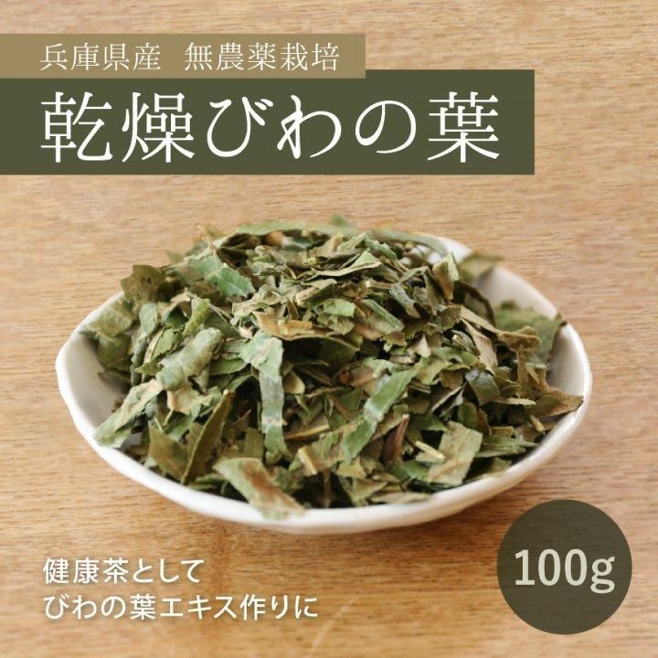 無農薬 乾燥びわの葉100g｜びわ葉茶・びわの葉エキス作り