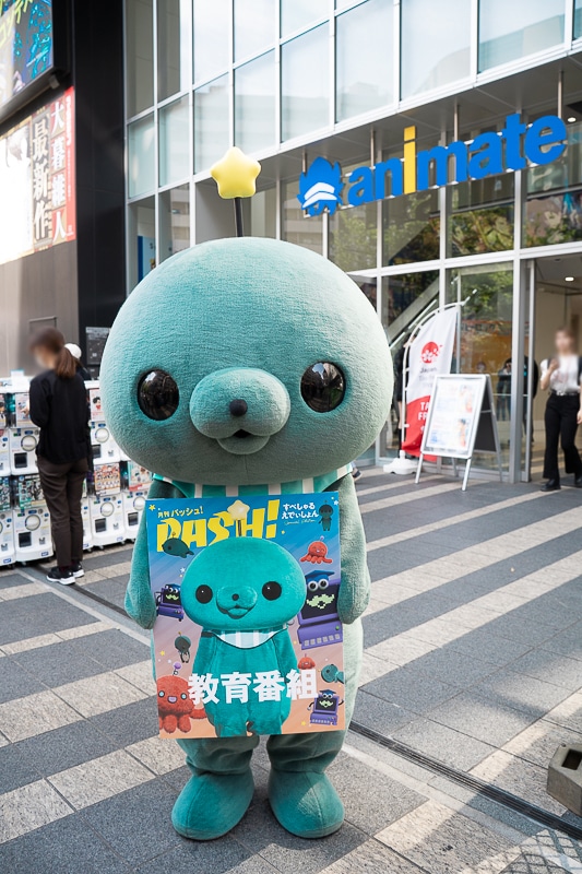 教育番組 タマ ぬいぐるみ ポストカード付き 教育番組 タマ ぬいぐるみ