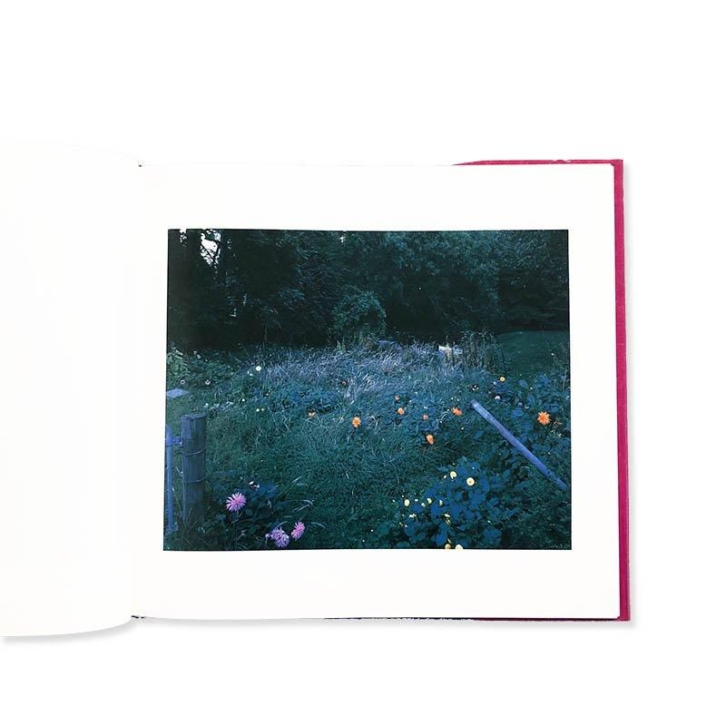 高橋恭司 サインなし 写真「蜂」C-print 高橋恭司写真集 / Kyoji