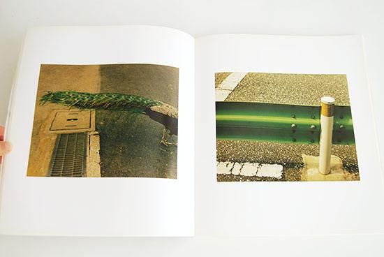 生きている 佐内正史 写真集 初版 生きている｜青幻舎 SEIGENSHA Art