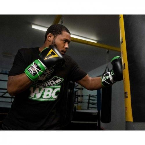 TITLE(タイトル) WBC レースアップ(紐式)・スパーリンググローブ