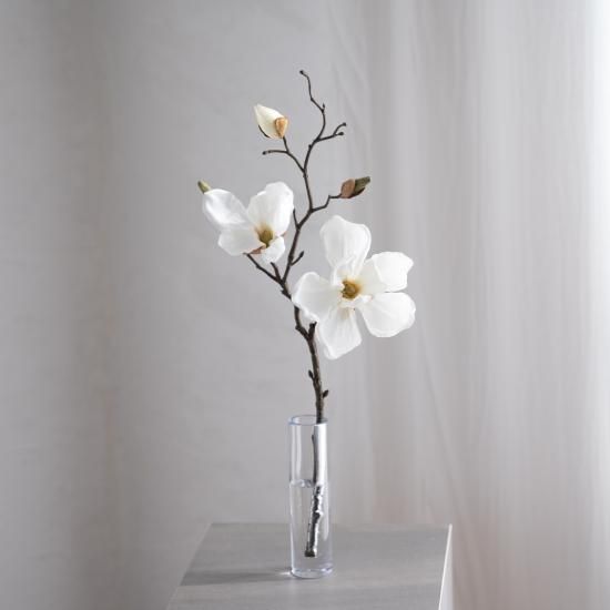 水換え不要）マグノリアの花瓶挿し - chouchou fleur（シュシュフルール ）