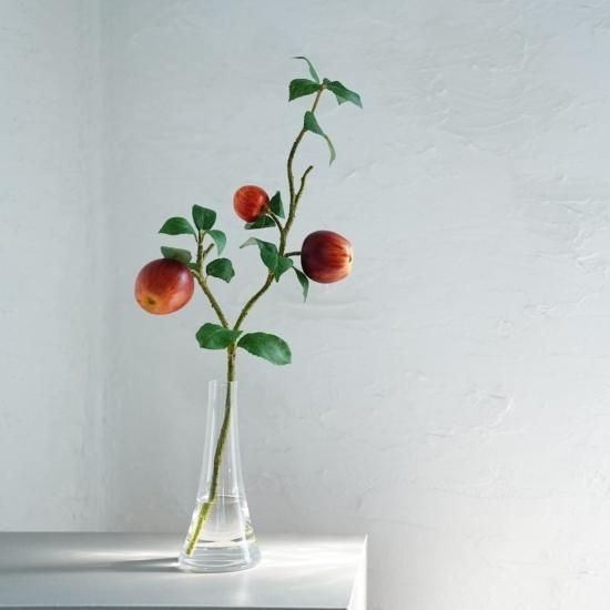 水換え不要）りんごの花瓶水挿し - chouchou fleur（シュシュフルール ）