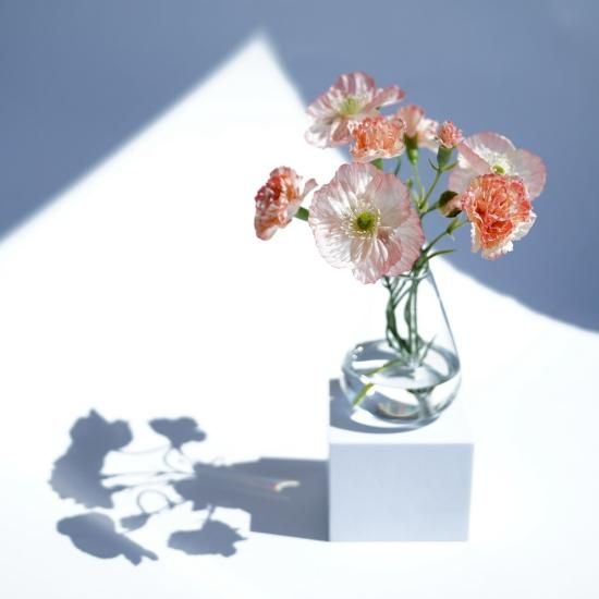 水換え不要）ポピーとカーネーションの花瓶挿し - chouchou fleur
