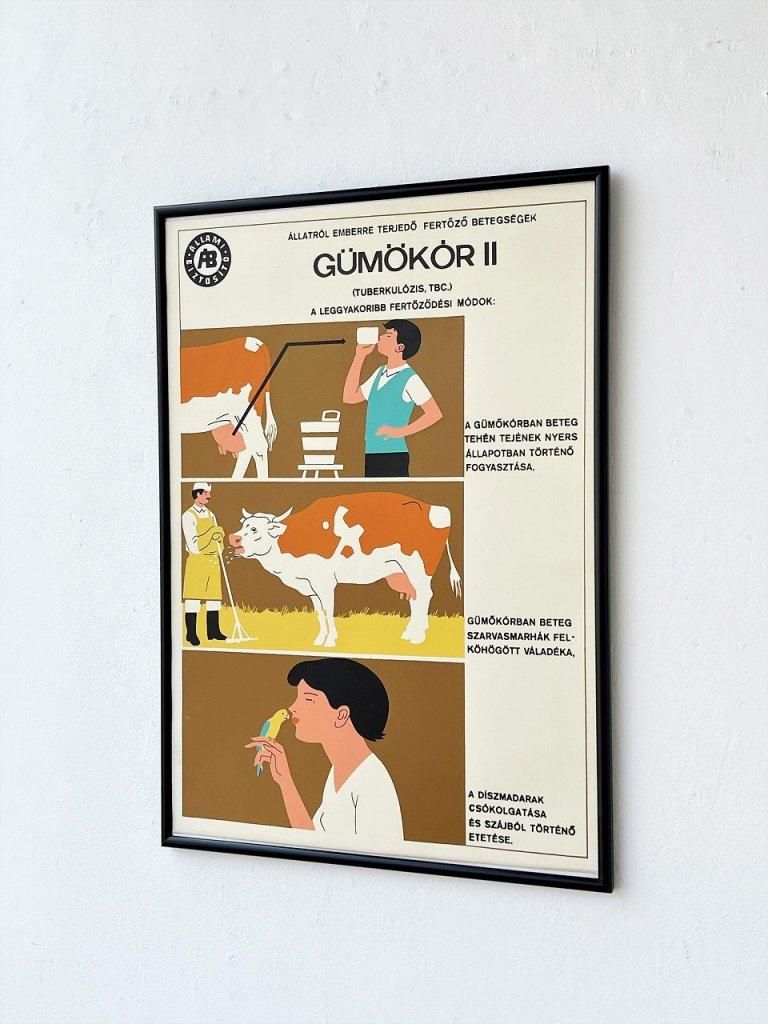 ハンガリー ヴィンテージ 額入り ポスター - アンティーク、ビンテージ