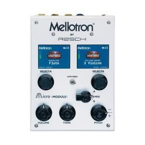 Make Noise | XOH | ユーロラック・モジュラーシンセ | Five G music