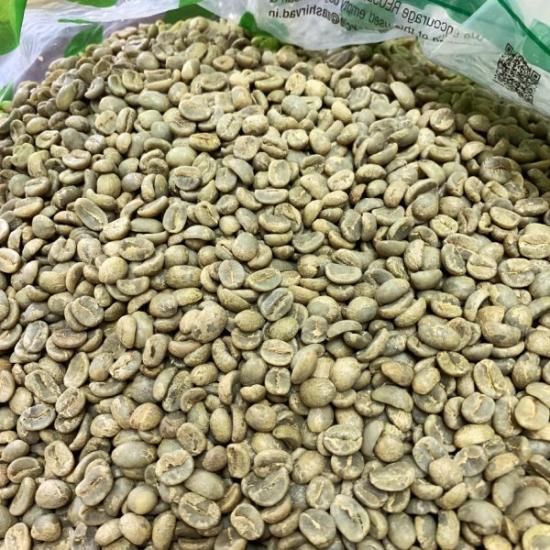 特価〉ホンジュラス エルプエンテ農園 ウォッシュド - 松屋珈琲