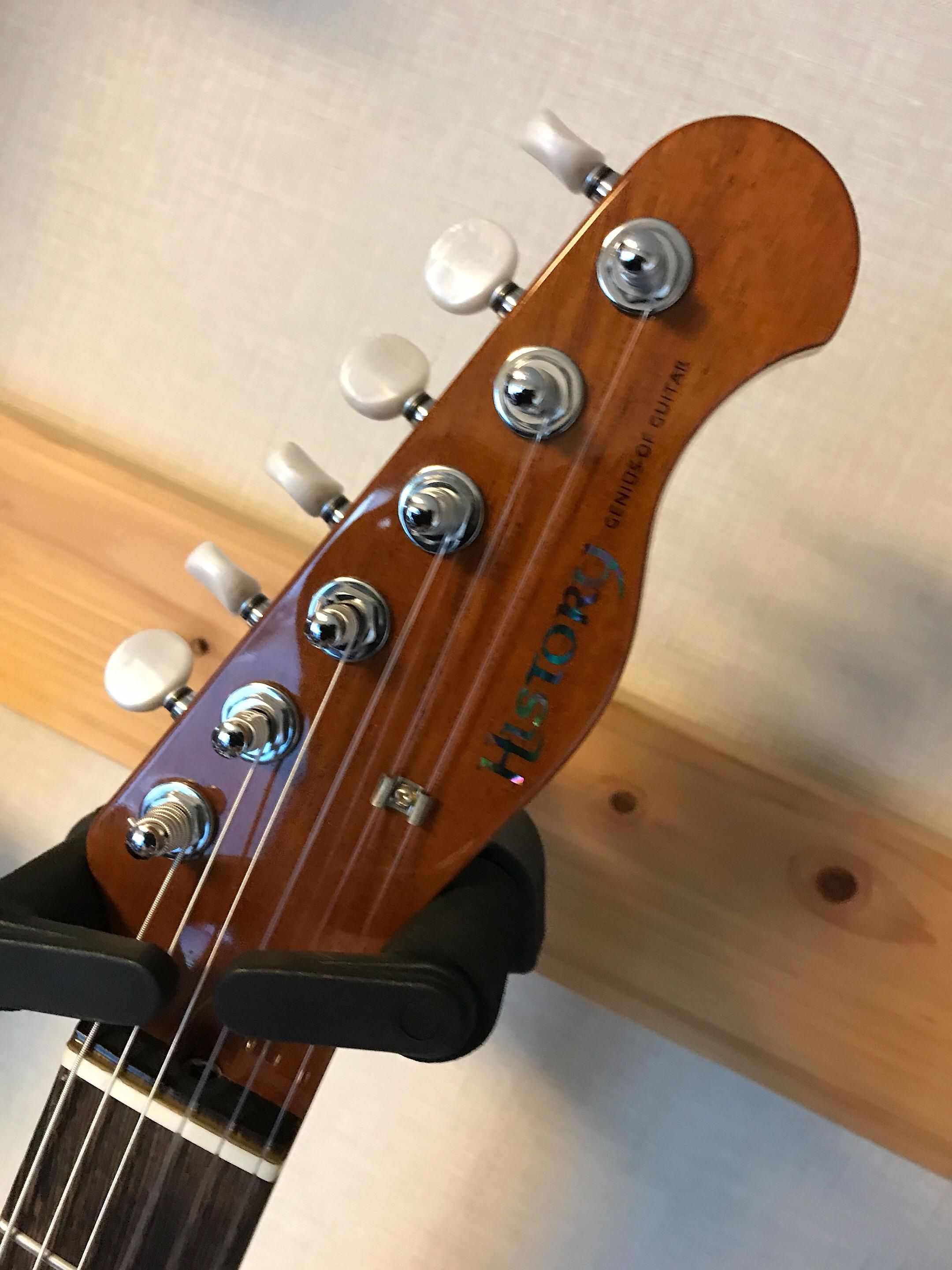 HISTORY HEG-120 フジゲン／ヒストリーのエレキ感覚のホロウエレガット