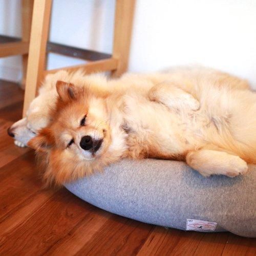 オーガニックコットン犬用ベッド - Mサイズ｜犬用ベッド｜DeLoreans