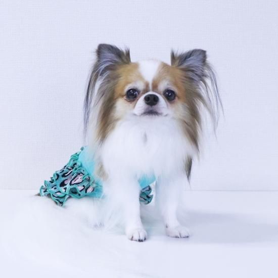 SALE【40％OFF】レオパードニコちゃんワンピース - ドッグウェア・犬服