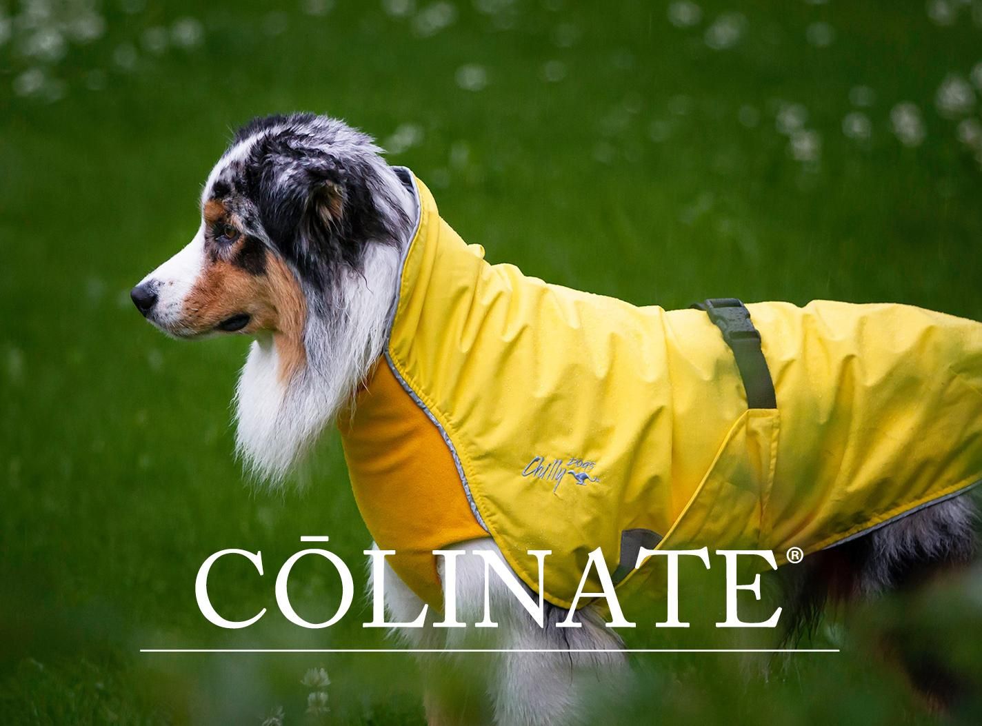 ルッカ レインコート パープル 40 新品未使用