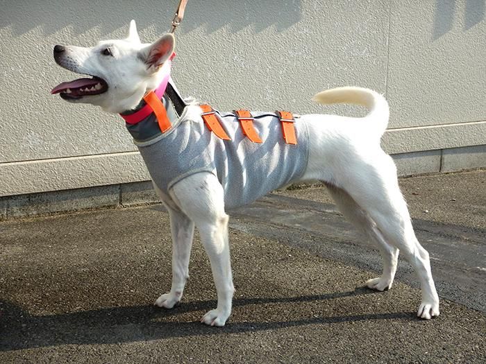 猟犬用耐切創ドッグベスト スペクトラベスト Spectra Vest 【強化版】